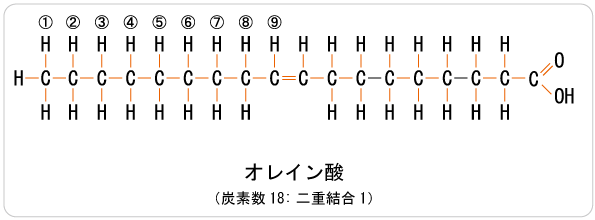 脂肪酸 飽和 価 一 不